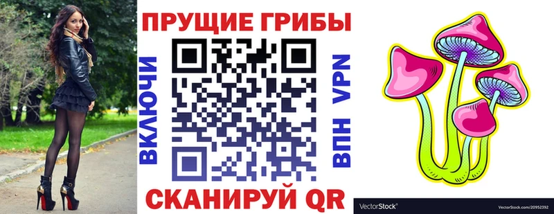 Псилоцибиновые грибы прущие грибы  omg рабочий сайт  Судогда 